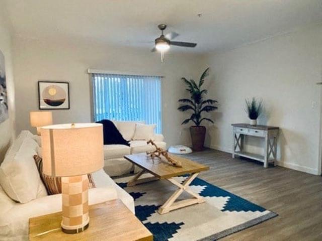 Apartment for rent in Clearwater