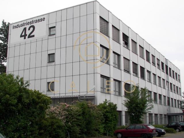 Wohnung mieten in Mainz, Rheinland-Pfalz