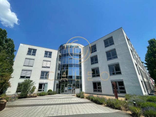 Wohnung mieten in Mainz, Rheinland-Pfalz