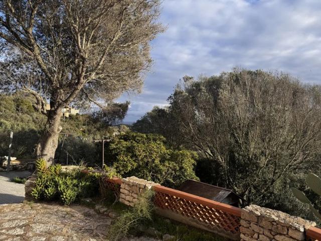 Maison vente à Sartène, Bonifacio