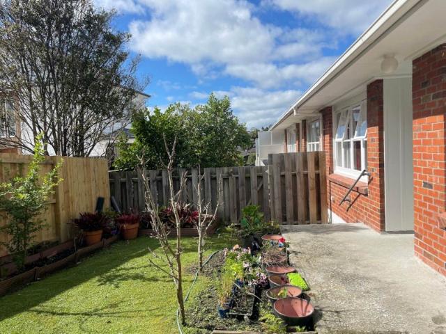 Apartment for rent in Mairangi Bay, Hibiscus and Bays