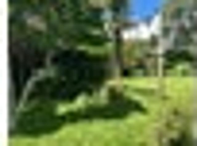 House for rent in Mairangi Bay, Hibiscus and Bays