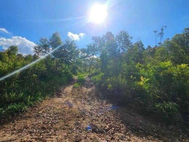 Sítio e chácara venda em Região Imediata de São Paulo, Região Metropolitana de São Paulo