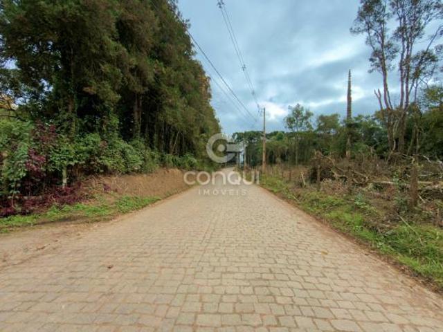 Sítio e chácara venda em Região Geográfica Imediata de Curitiba, Região Metropolitana de Curitiba