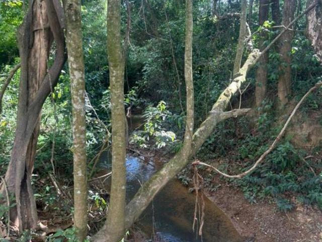 Terreno venda em Região Imediata de Sorocaba, Região Metropolitana de Sorocaba