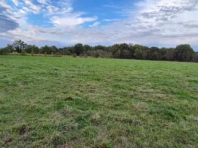 Terrain vente à France métropolitaine, Maisdon-sur-sèvre