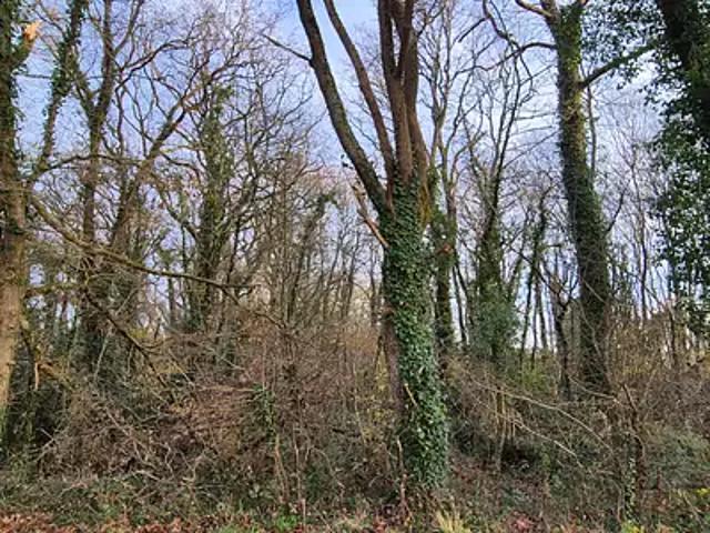 Terrain vente à France métropolitaine, Maisdon-sur-sèvre