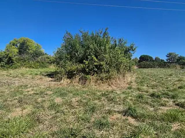 Terrain vente à France métropolitaine, Saint-lumine-de-clisson