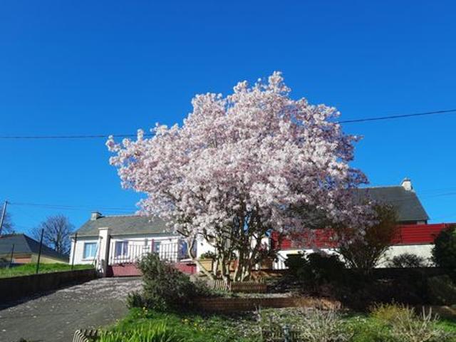 Maison vente à Guingamp, Bretagne