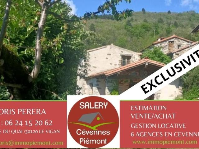 Maison vente à Le Vigan, Arphy