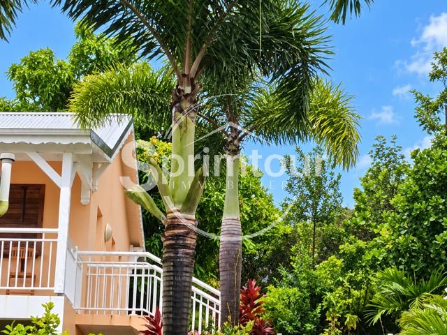 Maison vente à Pointe-Noire, Basse-Terre