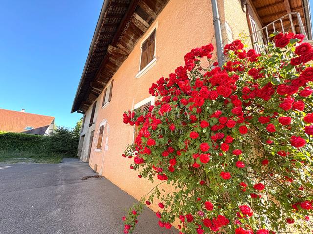 Maison vente à Annecy, Poisy
