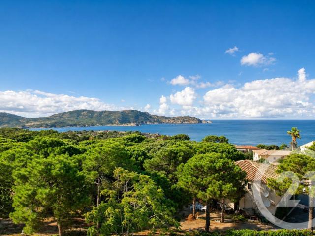 Maison vente à Calvi