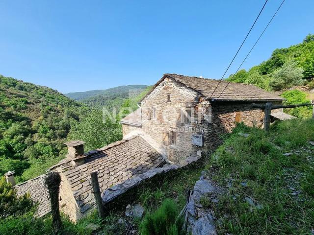 Maison vente à Florac, Saint-andré-de-lancize