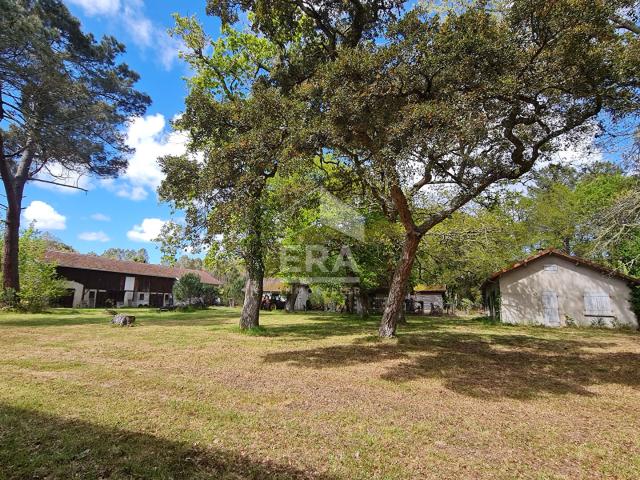 Maison vente à Mont-de-Marsan, Saint-paul-en-born