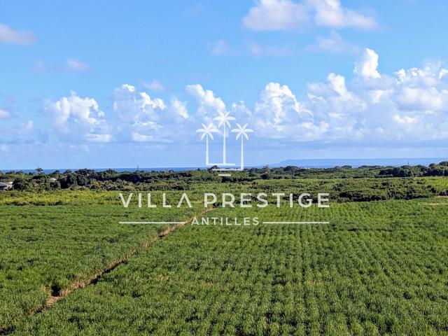 Maison vente à Guadeloupe