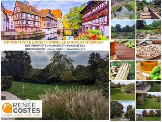 Maison vente à Saverne, Willgottheim