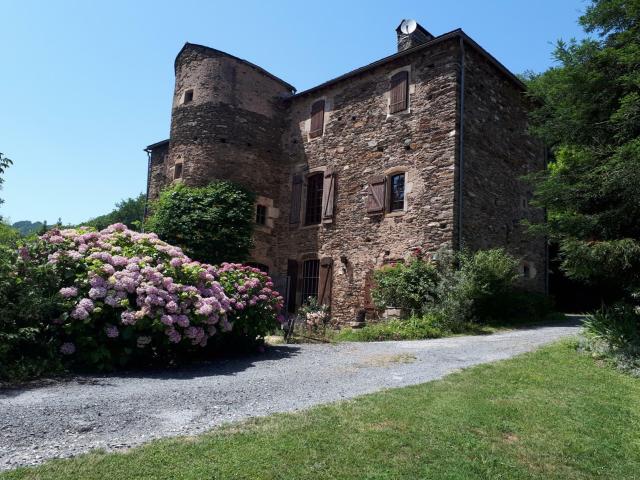 Maison vente à Albi