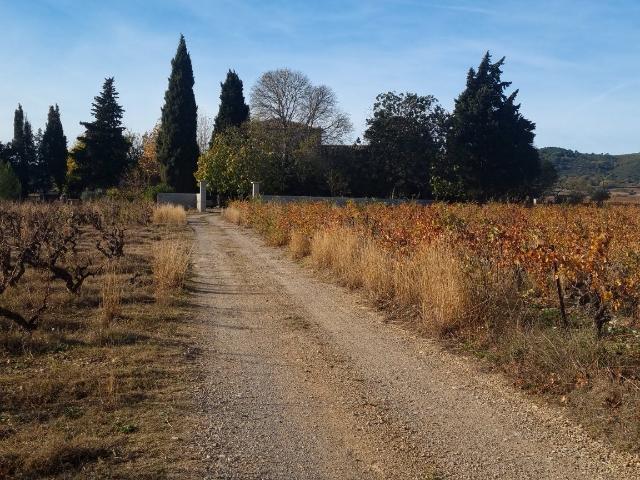 Maison vente à Lodève, Jonquières