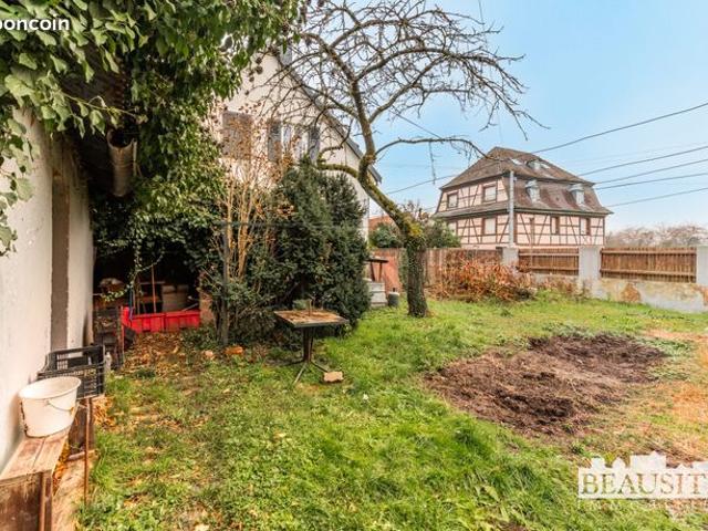 Maison vente à Strasbourg, Collectivité européenne d'Alsace