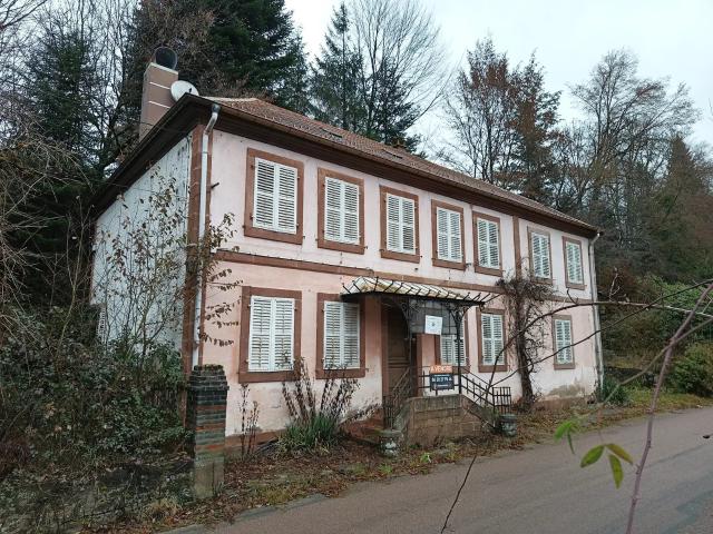 Maison vente à Saint-Dié-des-Vosges, Grand Est