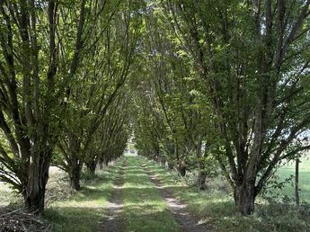 Maison vente à Muret, Le Fousseret
