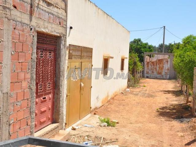Maison vente à Saida