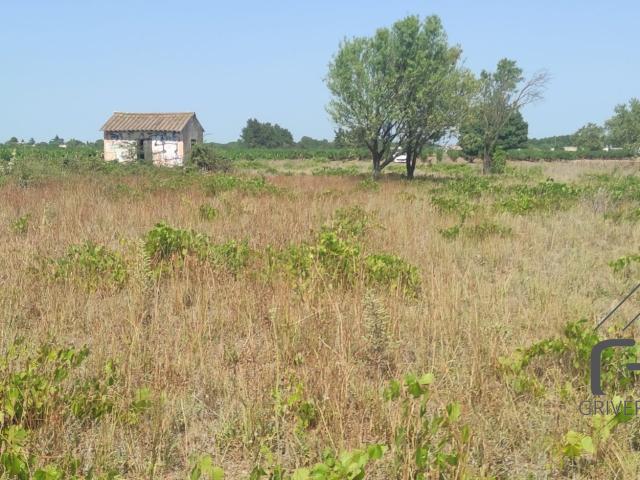 Maison vente à Gallargues-le-montueux