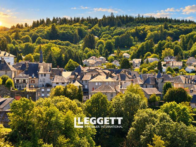 Maison vente à Saint-Hilaire-les-Courbes, Corrèze