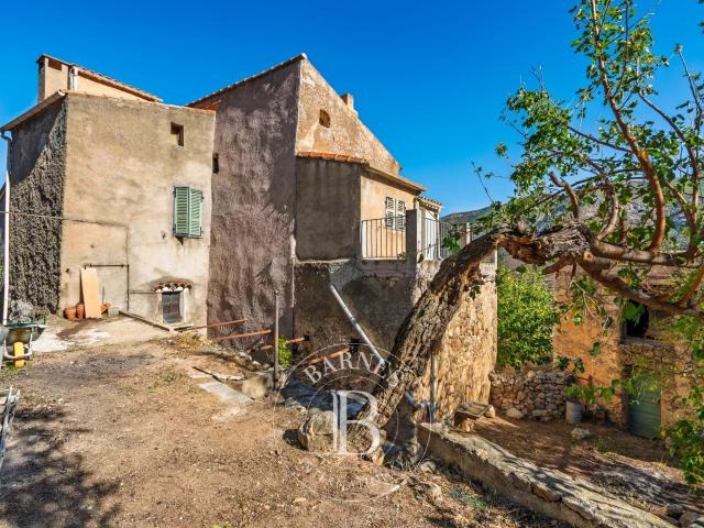Maison vente à Calvi, L'ile-rousse