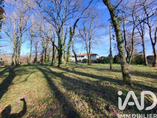 Maison vente à France métropolitaine, Saubrigues
