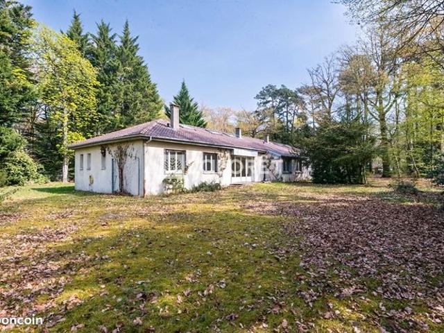 Maison vente à Versailles, La Celle-saint-cloud