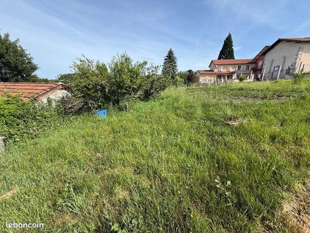 Maison vente à Roanne, La Tuilière