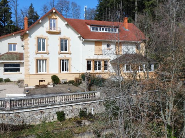 Maison vente à Saint-Clément-sur-Valsonne, Rhône