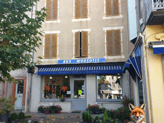 Maison vente à Ambert, Arlanc