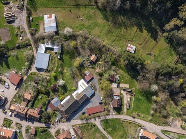 Maison vente à Sélestat-Erstein, Steige