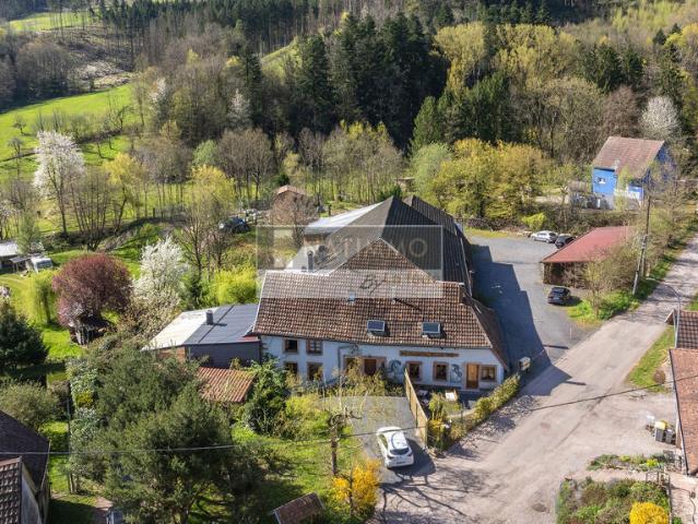 Maison vente à Steige, Collectivité européenne d'Alsace