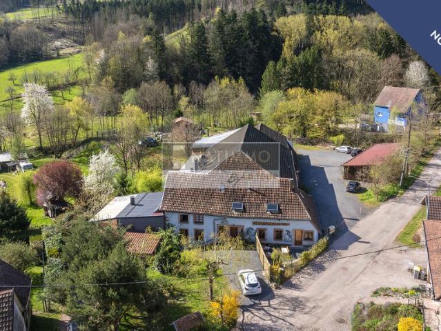 Maison vente à Sélestat-Erstein, Steige