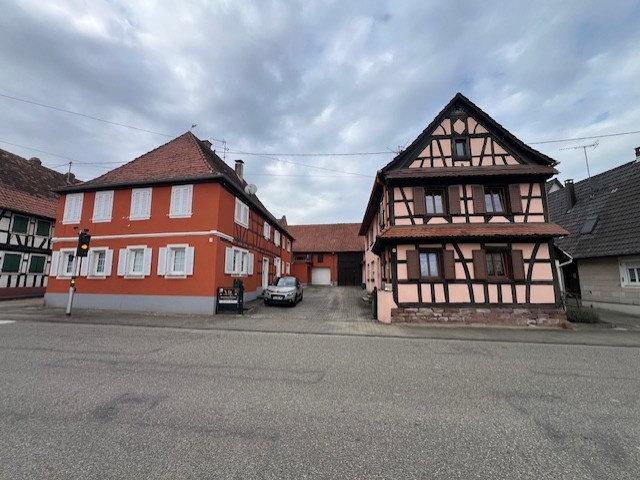 Maison vente à Haguenau-Wissembourg, Niederlauterbach