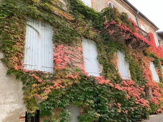 Maison vente à Montauban, Molières