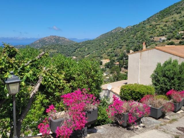 Maison vente à Calvi, Belgodère
