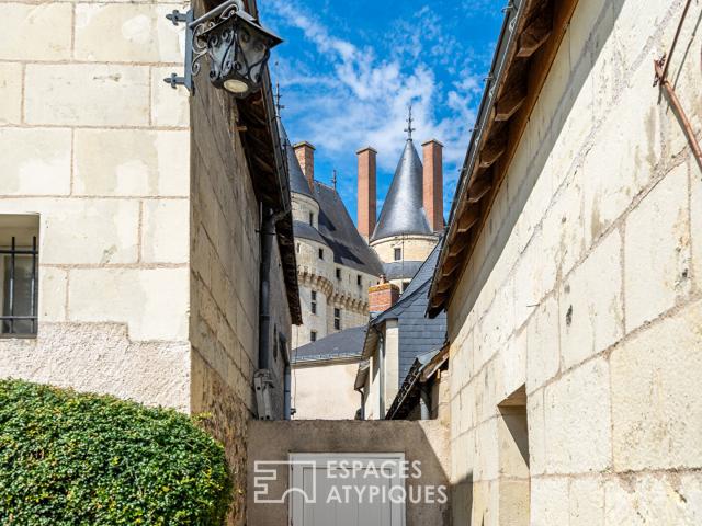 Maison vente à Chinon, Langeais