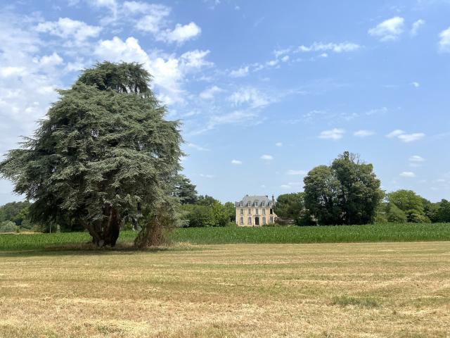 Maison vente à Saumur, Cheviré-le-rouge