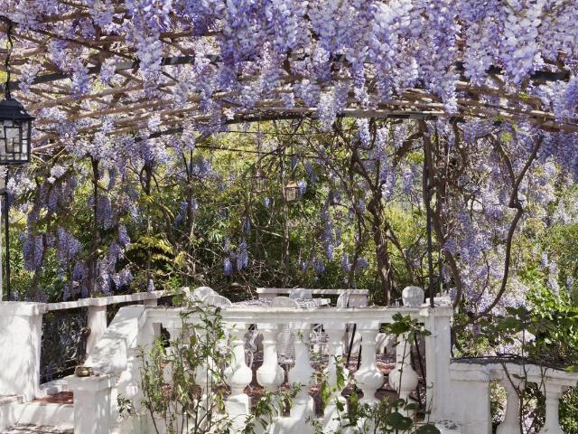 Maison vente à France métropolitaine, Menton