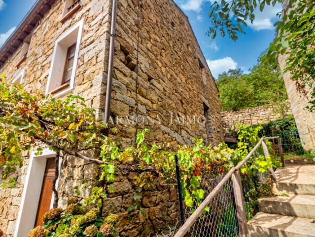 Maison vente à Ajaccio, Vico