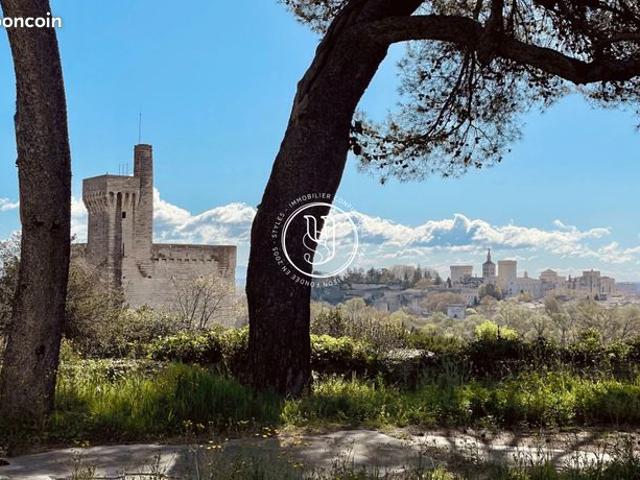 Maison vente à Villeneuve-lès-Avignon, Gard
