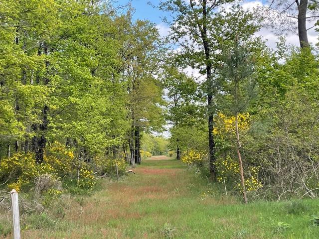 Maison vente à France métropolitaine, Romorantin-lanthenay