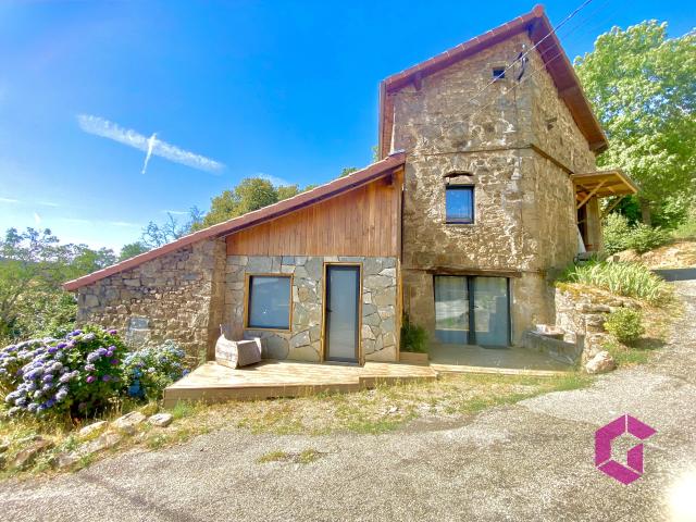 Maison vente à Saint-Julien-Molin-Molette, Loire