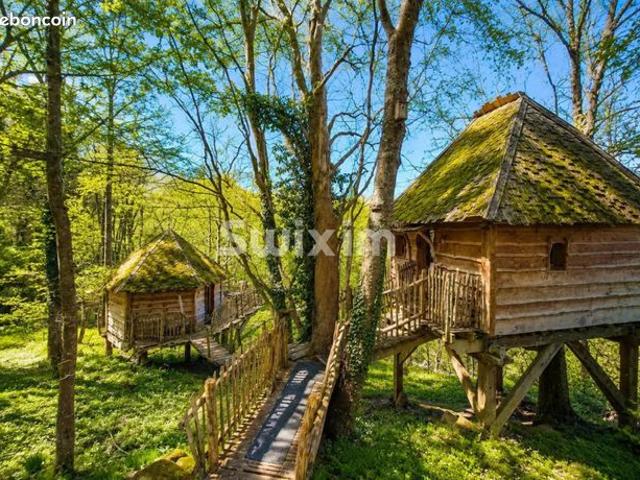 Maison vente à Colmar-Ribeauvillé, Thannenkirch