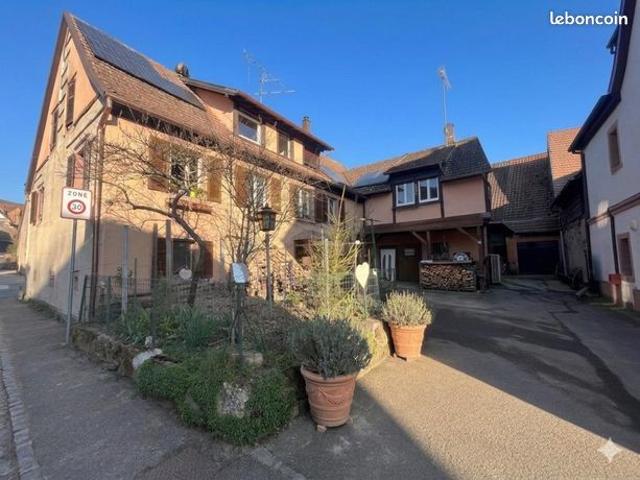 Maison vente à Triembach-au-Val, Collectivité européenne d'Alsace